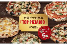 冷凍ピザ 贅沢5枚セット〈 フライパン 電子レンジ 冷凍食品 詰め合わせ チーズ グルメ 冷凍 ピザストラーダ マルゲリータ 26cm 6ピース 美味しい 誕生日 お祝い パーティー クリスマス 〉