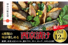 母の日限定便　お母さんありがとう！　ミックス盛り・Jr