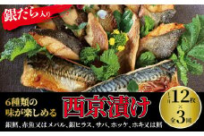 【定期便】ミックス盛・Jr　3か月