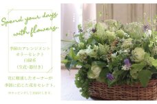 季節のアレンジメント（生花）カラーセレクト　白緑系
