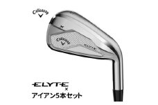 キャロウェイ  ELYTE Xアイアン5本セット  N.S.PRO 750GH neo(S) 