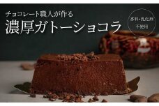 チョコレート職人が作る濃厚ガトーショコラ（香料・乳化剤不使用）2本入り〈 チョコレート カカオ お菓子 スイーツ 洋菓子 チョコ 専門店 Bean to bar カカオニブ 美味しい カフェタイム プレゼント ギフト バレンタイン ホワイトデー 人気 おすすめ おしゃれ 〉