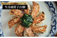 文菜華 ノンメタポーク100％使用の生冷凍餃子20個 〈 冷凍 餃子 冷凍食品 冷凍餃子 豚肉 ごはん 白米 中華 美味しい 人気 文菜華 〉