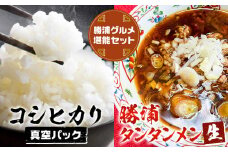勝浦産 コシヒカリ (真空パック) 300g × 12個 と 勝浦タンタンメン 生3人前 × 2セット 御門商店 (有限会社 岩瀬竹次郎商店) 【配送不可地域あり】 《90日以内に出荷予定(土日祝除く)》千葉県 勝浦市 米 こしひかり タンタンメン 担々麺
