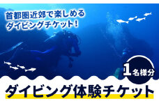 【ふるさと納税】体験ダイビングチケット 勝浦ダイビング協会《90日以内に出荷予定(土日祝除く)》体験 ダイビング チケット  アウトドア アクティビティ 海