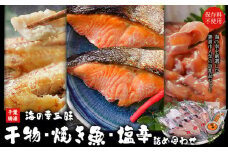 干物・焼魚・塩辛セット 4~6種10枚 株式会社鈴八フーズ 《30日以内に出荷予定(土日祝除く)》【配送不可地域：離島】塩辛100gさばの塩焼き さけの塩焼き 干物 アジ カレイ 金目鯛 イカ ホッケ 鯛 さば 赤魚 さんま エボ 鯛 カサゴ カマス