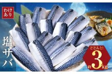 訳あり 塩サバ 3kg 海鮮 無添加《30日以内に出荷予定(土日祝除く)》切り身 千葉県 勝浦市  株式会社西川 塩 さば サバ 魚 無添加 鯖 冷凍 塩さば 規格外 大容量【配送不可地域：離島】 st-p