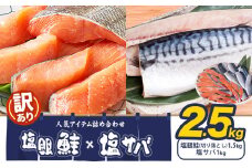 訳あり 人気アイテム 詰め合わせ 塩銀鮭 切り落とし 1.5kg + 塩サバ 1kg 合計 約 2.5kg 株式会社西川 《30日以内に出荷予定(土日祝除く)》千葉県 勝浦市  塩銀鮭 塩サバ 魚 切り落とし 冷凍 訳あり 手作り 惣菜【配送不可地域：離島】 st-p