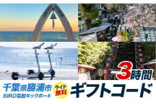 BIRD 電動キックボード 3時間 ライド 無料 ギフトコード 株式会社 Mobilco《90日以内に出荷予定(土日祝除く)》千葉県 勝浦市 電動キックボード 送料無料