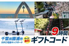 BIRD 電動キックボード 9時間 ライド 無料 ギフトコード 株式会社 Mobilco《90日以内に出荷予定(土日祝除く)》千葉県 勝浦市 電動キックボード 送料無料