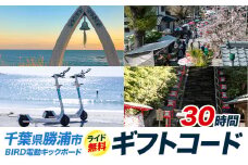 BIRD 電動キックボード 30時間 ライド 無料 ギフトコード 株式会社 Mobilco《90日以内に出荷予定(土日祝除く)》千葉県 勝浦市 電動キックボード 送料無料