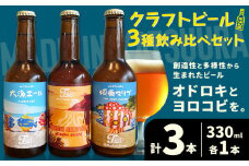 クラフトビール 3種 飲み比べセット 瓶330ml 3本 千葉県 勝浦市 にある 醸造所より 直送 MAXIMUS.WORK 株式会社《90日以内に出荷予定(土日祝除く)》千葉県 勝浦市 クラフトビール ビール 飲み比べ【配送不可地域：離島】