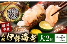 天然伊勢海老 千葉県勝浦産  生冷活〆 大サイズ 500gUP×2尾 計1.2kg 【刺身OK】 贈答 株式会社串浜水産《90日以内に出荷予定(土日祝除く)》千葉県 勝浦市 伊勢海老 海老 えび【配送不可地域あり】（離島）【1498730】