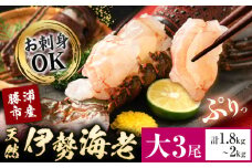 天然伊勢海老 千葉県勝浦産 生冷活〆 大サイズ 500gUP×3尾 計1.8kg 【刺身OK】 贈答 株式会社串浜水産《90日以内に出荷予定(土日祝除く)》千葉県 勝浦市 伊勢海老 海老 えび【配送不可地域あり】（離島）【1498739】