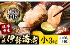 天然伊勢海老 千葉県勝浦産 生冷活〆 小サイズ 3尾入 おためし 【刺身OK】 贈答 株式会社串浜水産《90日以内に出荷予定(土日祝除く)》千葉県 勝浦市 伊勢海老 海老 えび【配送不可地域あり】（離島）【1499572】
