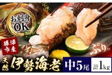 天然伊勢海老 千葉県勝浦産 生冷活〆 中サイズ 5尾入 1kg 【刺身OK】 贈答 株式会社串浜水産《90日以内に出荷予定(土日祝除く)》千葉県 勝浦市 伊勢海老 海老 えび【配送不可地域あり】（離島）【1499636】