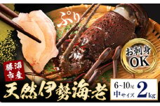 【刺身OK】千葉県勝浦産 生冷活〆 天然伊勢海老 2kg 6-10尾入 株式会社串浜水産《90日以内に出荷予定(土日祝除く)》千葉県 勝浦市 伊勢海老 海老 えび【配送不可地域あり】（離島）【1504522】
