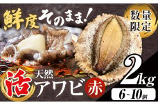 【数量限定】天然『活』アワビ (赤) 2kg ( 6～10個 )《7月中旬-9月上旬頃出荷》 寺田水産 【配送不可地域：離島・北海道・沖縄県・東北・中国・四国・九州】 千葉県 勝浦市 海産物 鮑 あわび 刺身