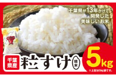 千葉県産 粒すけ 精米 5kg《90日以内に出荷予定(土日祝除く)》千葉県 勝浦市 米 お米 千葉県産 精米【配送不可地域あり】 st-p