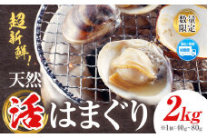 数量限定 天然 活 はまぐり 2kg 1個:40g～80g 寺田水産 《2025年7月上旬-2026年6月末頃出荷》千葉県 勝浦市 海産 貝 はまぐり【配送不可地域：離島・北海道・沖縄県・東北・中国・四国・九州】