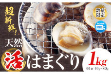 数量限定 天然 活 はまぐり 1kg 1個:40g～80g 寺田水産 《2025年7月上旬-2026年6月末頃出荷》千葉県 勝浦市 海産 貝 はまぐり【配送不可地域：離島・北海道・沖縄県・東北・中国・四国・九州】