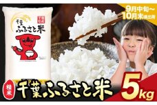令和6年産 米 千葉 ふるさと米 5kg《9月中旬-10月末頃出荷》千葉県 勝浦市 米 白米 精米 国産 お米 おこめ お弁当 おにぎり こしひかり