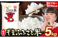 令和6年産 米 千葉 ふるさと米 5kg《8月下旬-9月末頃出荷》千葉県 勝浦市 米 白米 精米 国産 お米 おこめ お弁当 おにぎり こしひかり