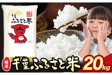 令和6年産 こしひかり 米 千葉 ふるさと米 20kg《9月下旬-11月上旬頃出荷》千葉県 勝浦市 米 白米 精米 国産 お米 おこめ お弁当 おにぎり