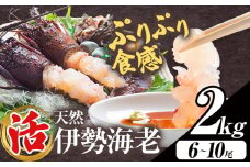 【数量限定】天然『活』伊勢海老 2kg  ( 6尾 ～ 10尾 ) 【配送不可地域：離島・北海道・沖縄県・東北・中国・四国・九州】 《30日以内に出荷予定(土日祝除く)》 寺田水産 千葉県 勝浦市 伊勢海老 イセエビ 海産物 えび