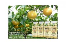 千葉県産和梨ベース 4本セット [№5689-0401]