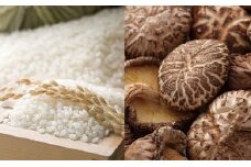農匠泰山の音信米（おとずれまい）と乾椎茸のセット [№5689-0405]