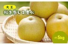 大玉！秋を感じる　豊水梨（5kg） [№5689-0492]