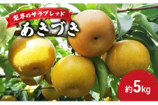 梨界のサラブレッド　あきづき（5ｋｇ） [№5689-0494]