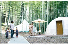 アニマルグランピング「THE BAMBOO FOREST」宿泊補助券　10,000pt分 [№5689-0541]