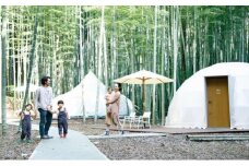アニマルグランピング「THE BAMBOO FOREST」宿泊補助券　30,000pt分 [№5689-0542]