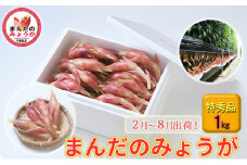 まんだのみょうが　特秀品　1kg [№5689-0666]
