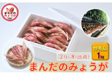 まんだのみょうが　特秀品　1kg [№5689-0666]