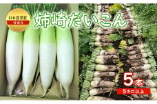 日本農業賞の特別賞　姉崎大根 5本　5キロ以上 [№5689-0695]