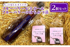 ブルーベリービネガー＆ブルーベリーのはちみつ漬（2個）セット [№5689-0701]