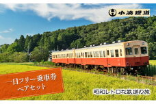 一日フリー乗車券ペアセット [№5689-0720]