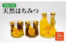 市原みつばち牧場天然はちみつ３本セット【さくら】 [№5689-7009]0709