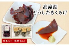 高滝湖どうしたきくらげ　生6パック　乾燥2パック　防空壕きくらげシステム導入[№5689-0716]