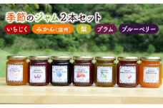 ジャム 季節のジャム2本セット 手作り フルーツ くだもの セット 千葉県 いちじく みかん 梨 プラム ブルーベリー パン ヨーグルト[№5689-0811]