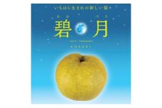 【限定30セット】いちはら梨オリジナル品種　碧月（あおづき）3キロ 梨 なし 希少 濃厚 オリジナル 市原市 千葉[№5689-1738]