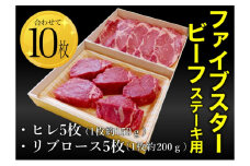 ファイブスタービーフステーキセット（ロース5枚、ヒレ5枚）ステーキ肉 肉 牛 牛肉 ニュージーランド産 市原市 千葉 [№5689-1741]