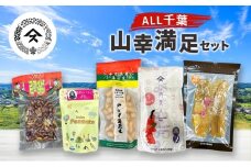 ALL千葉 山幸満足セット[№5689-1943]