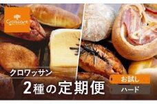 《カレーパングランプリ2025グランドチャンピオン受賞カレーパン入！》クロワッサン2種の定期便（お試し、ハード）クロワッサン 食パン　朝食 ランチ セット [№5689-1957]