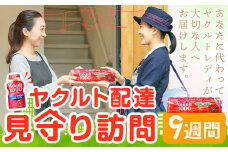 ヤクルト 1000 ヤクルト配達 見守り 訪問サービス 流山市内限定 9週間 (計63本) 1セット 7本入り 千葉県ヤクルト販売株式会社《30日以内に出荷予定(土日祝除く)》千葉県 流山市 送料無料 Yakult1000 家族 友人 みまもり 訪問 st-p