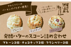 スコーン 詰め合わせ 3種 9個 プレーン チョコチップ クランベリー 《30日以内に出荷予定(土日祝除く)》星子スコーン 千葉県 流山市 おやつ