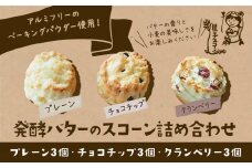 スコーン 詰め合わせ 3種 9個 プレーン チョコチップ クランベリー 《30日以内に出荷予定(土日祝除く)》星子スコーン 千葉県 流山市 おやつ